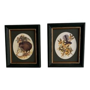 Set of Two Framed Native Birds of New Zealand